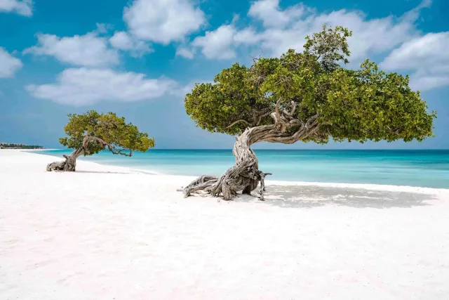 Caribe